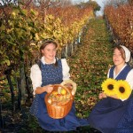 Jugend-Kalender 2006